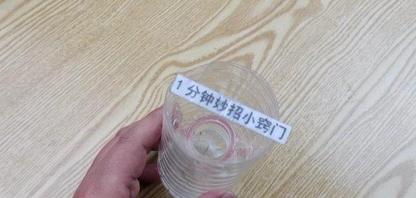 去苍蝇的最佳方法