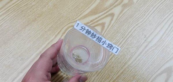 去苍蝇的最佳方法