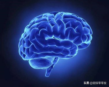 目前人类最高智商是多少 智商最高的人类达到多少数值