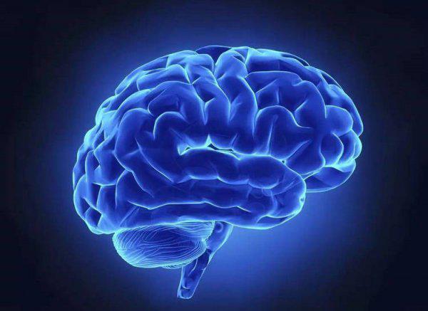 目前人类最高智商是多少