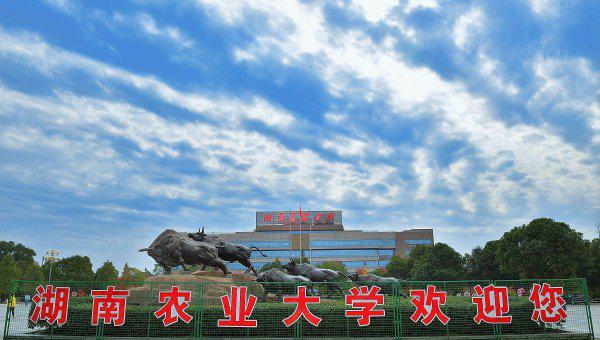 湖南农业大学排名第几