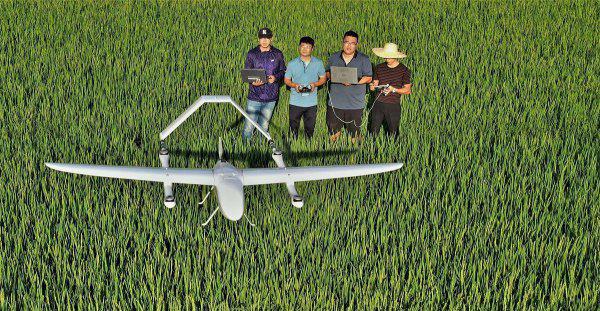 湖南农业大学排名第几