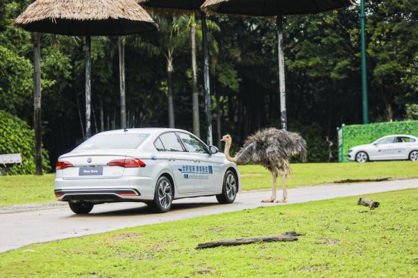 一汽大众BORA是什么车