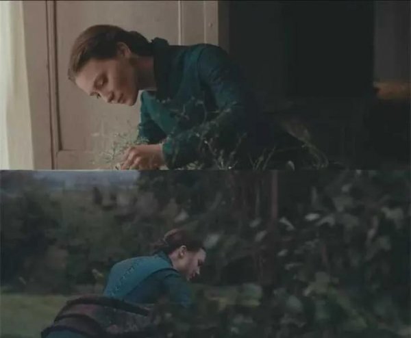 包法利夫人告诉我们的道理