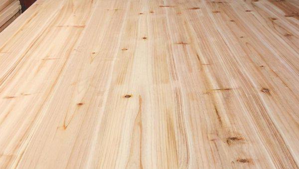 杉木和松木哪个更好