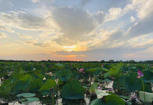 山东微山县属于哪个市管辖