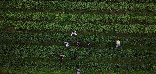 石台县属于哪个市