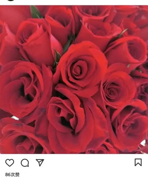 撒贝宁李白个人资料简介