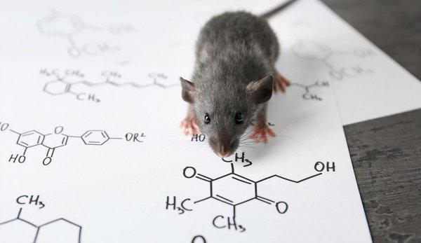 理科女生适合学什么专业