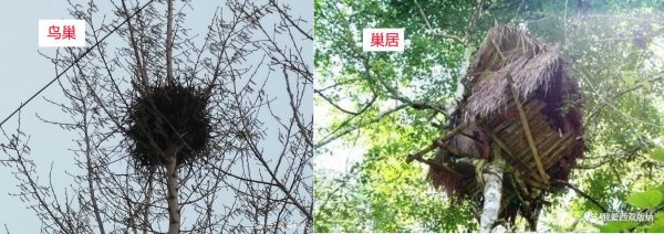 一幢和一栋的区别