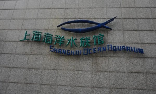 上海最繁华的区是哪个区