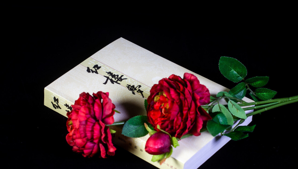 红楼梦又名什么书