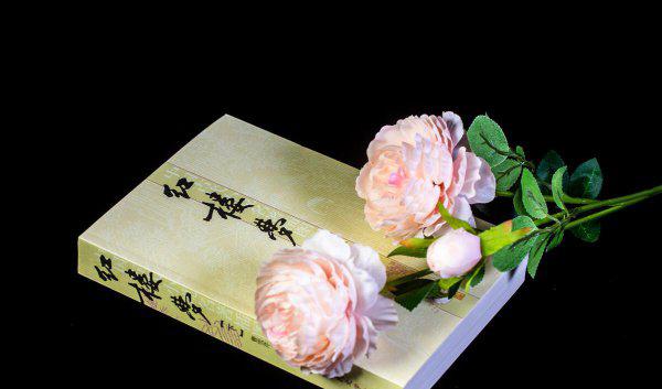 红楼梦又名什么书