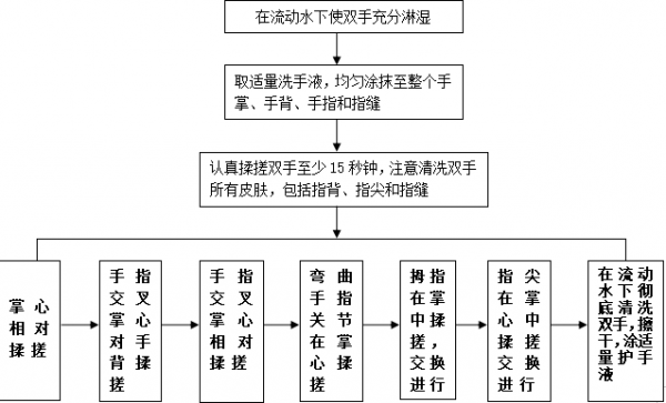 手卫生为医务人员什么总称