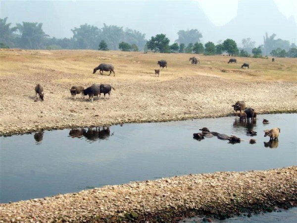 桂林是哪个省的城市