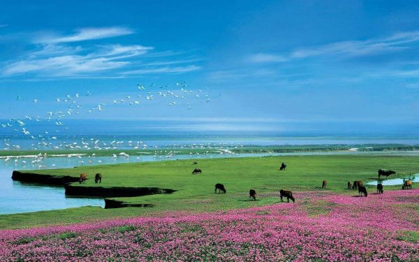 江西十大景点排名大全