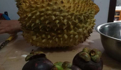 夫妻果是哪两种水果