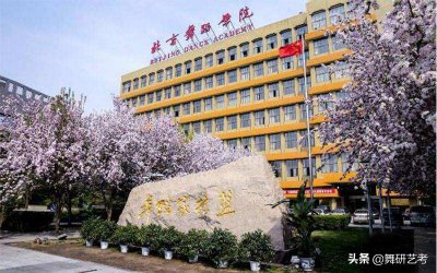 十大舞蹈学院排名 舞蹈艺术学校排名前十名的大学