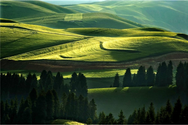 奇台县属于哪个市管辖