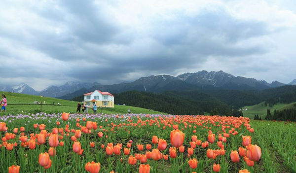 奇台县属于哪个市管辖