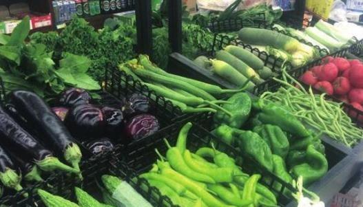 最适合在小区做的生意有哪些