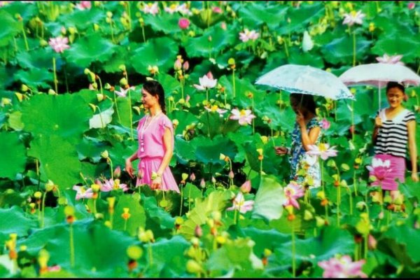 四川南部县属于哪个市