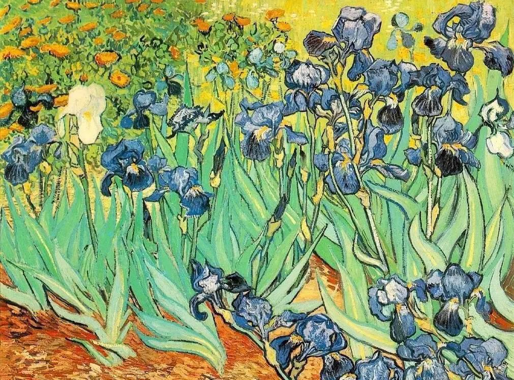 梵高的作品有哪些