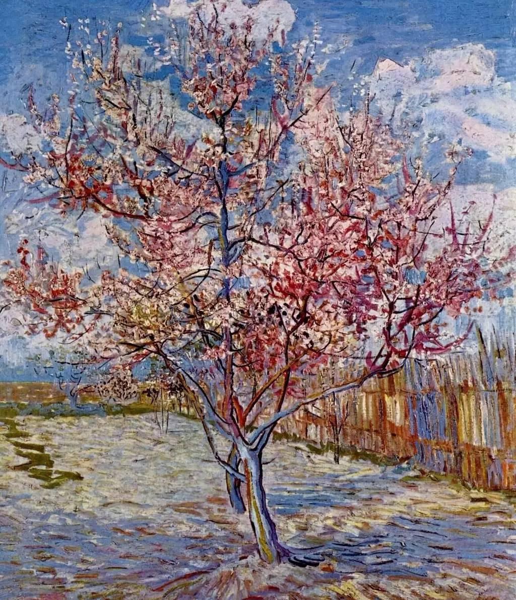 梵高的作品有哪些