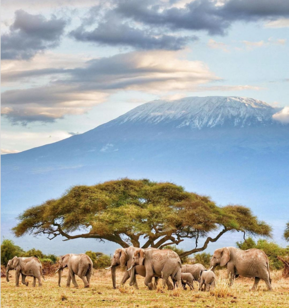 世界高峰最美排名