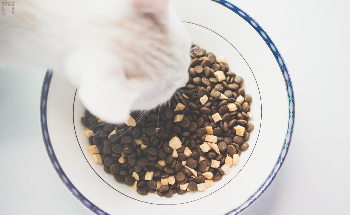 国产猫粮哪个牌子质量好
