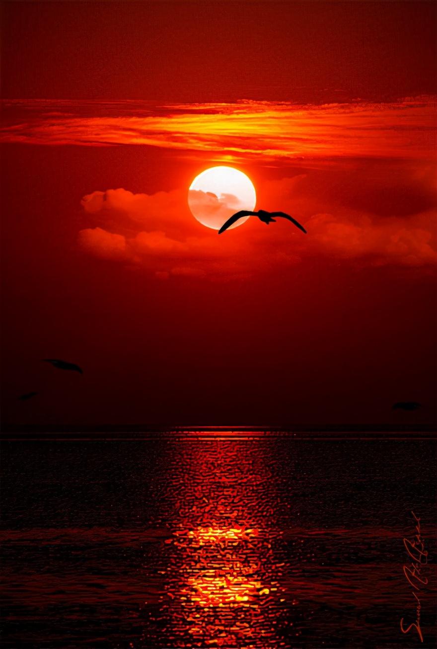 唐朝四大才子是哪四位