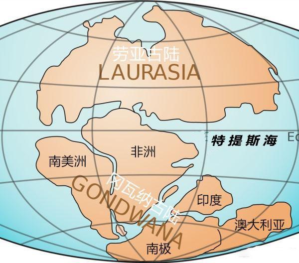 世界第一大沙漠在哪个国家