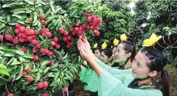 杨贵妃吃荔枝的典故