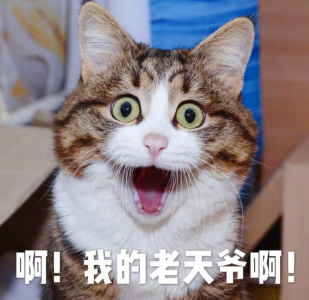 大学夏令营是干啥的 高校夏令营对考研有用吗