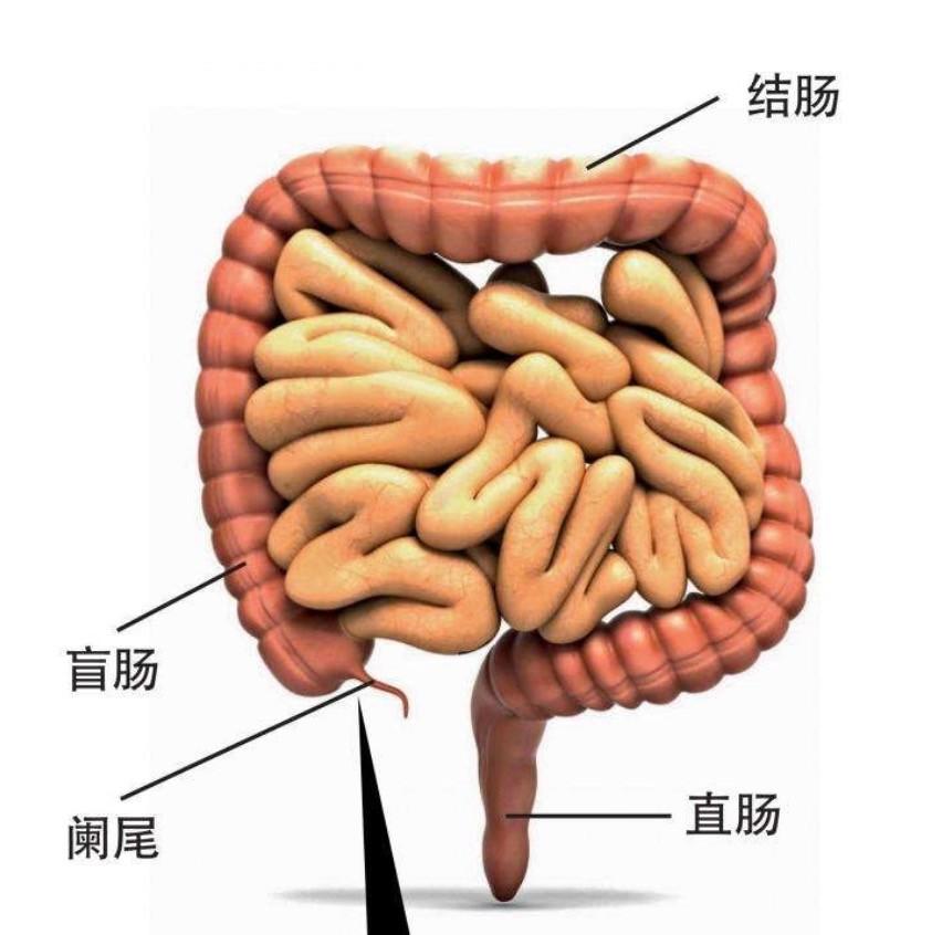 古代人怎么避孕