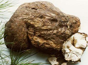 种植什么药材前景好