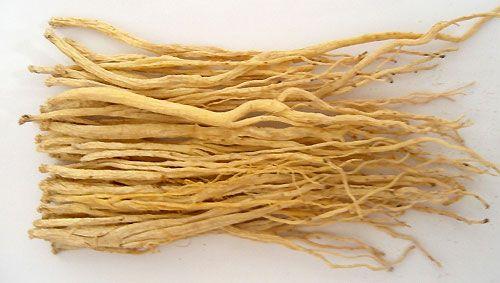 种植什么药材前景好