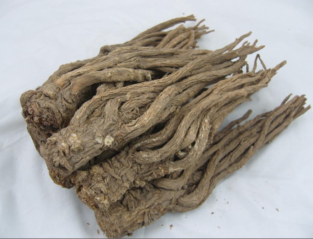 种植什么药材前景好