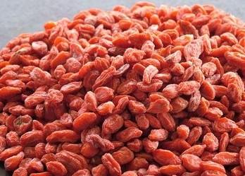 种植什么药材前景好