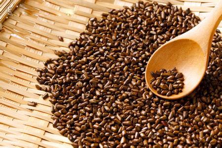 种植什么药材前景好