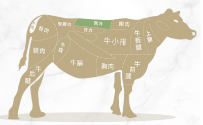 牛排哪个部位最好吃 牛排最好的部位依次排列