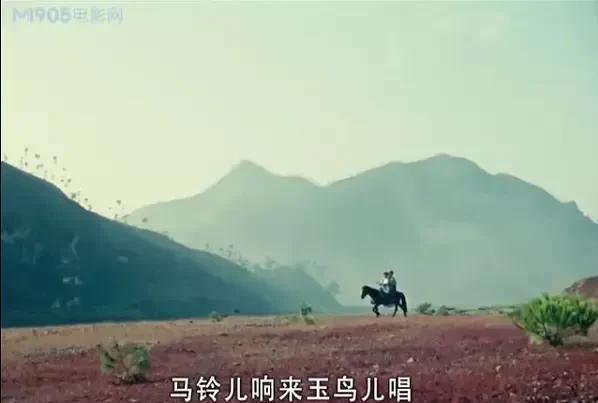 阿诗玛是哪个民族的