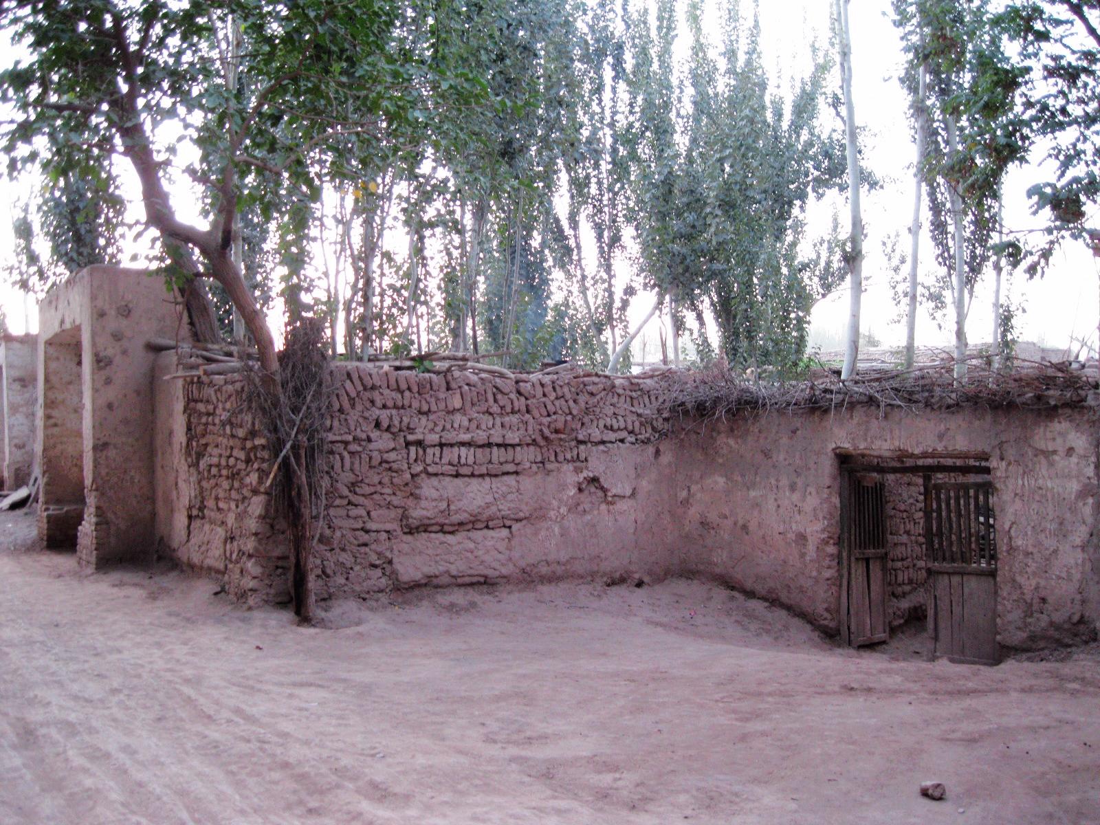 世界上最傻的人