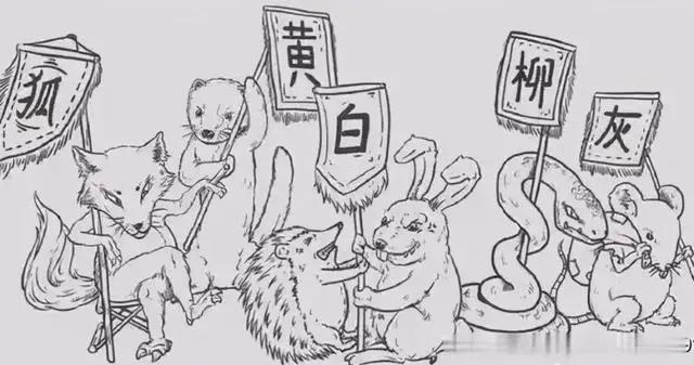 1996年猫脸老太太事件