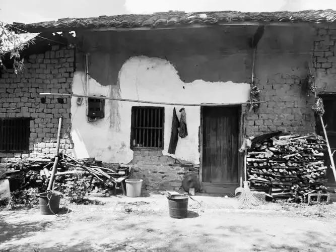 1996年猫脸老太太事件