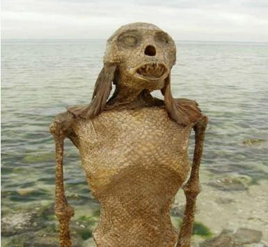 美国捕获的活黑鳞鲛人