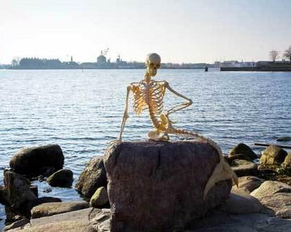 美国捕获的活黑鳞鲛人