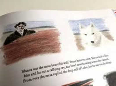 世界上最凶猛的狼王 世界上最厉害凶悍的狼