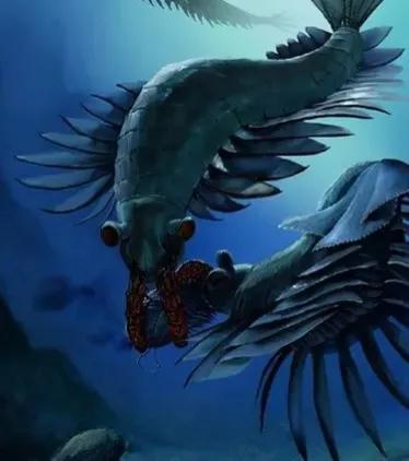 海洋十大霸主排名