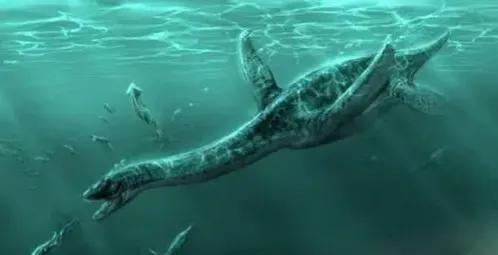 海洋十大霸主排名